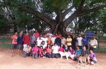 A Trail Through Parks Of Bangalore
