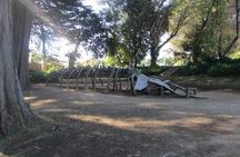 Tour around Biobío River Estuary & Pedro del Río Zañartu Museum
