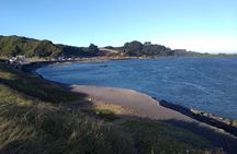 Biobío River Estuary and Rocoto Beach
