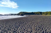 Biobío River Estuary and Rocoto Beach