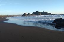 Biobío River Estuary and Rocoto Beach