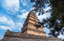 Terracotta Army&Big Wild Goose Pagoda Private Day Tour