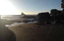 Biobío River Estuary and Rocoto Beach