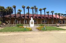 Tour around Biobío River Estuary & Pedro del Río Zañartu Museum