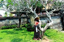 Incredible Day Trip to Ubud