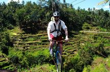 Incredible Day Trip to Ubud
