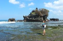 Ubud Day Trip and Tanah Lot