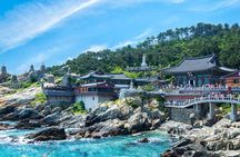 Busan Private Fullday Tour (From min 2 ppl)