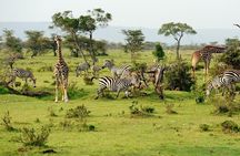 7 Days 6 Night In Southern Of Tanzania