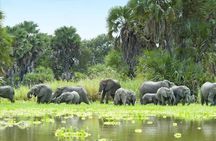 7 Days 6 Night In Southern Of Tanzania
