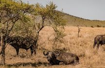 7 Days 6 Night In Southern Of Tanzania