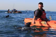 Kayaking and Sandwich Habour Guided Day Tour from Walvis Bay