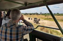 Serengeti Tour – 7Days/6 nights (4 stars accommodations)