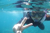 Snorkeling Trip Tulamben Bali