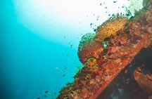 Snorkeling Trip Tulamben Bali