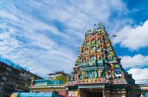 Indian/Hindu Cultural Immersion Tour