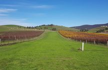 Private, Luxury and Tailored Yarra Valley Wine Tour