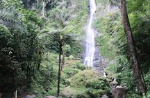 Nature's healing Bandung country side