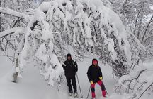 Guided Snowshoe Walk on Tromsoya Island in Tromso