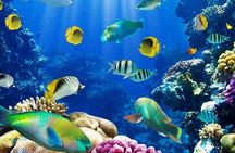 From Hurghada: Paradise Island Full-Day Snorkeling Tour
