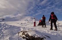 Snowshoe Hill Hike in Tromsø
