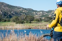 From the hills to Oasi Biderosa & Capo Comino with Electric Mountain Bikes