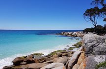 Tasmania 5 Day East Coast Tour