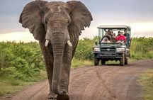 7 Day Garden Route to Addo, Cape Point and Winelands Combo tour