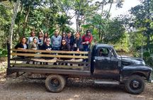 Coffee Museum and Coffee Tour el Cafe-tal apan
