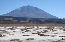 Salar de Uyuni with lodging - 3 full days - With lagoons