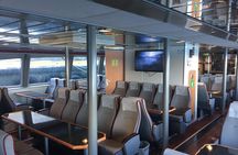 Whale watching-Magic Skjervoy