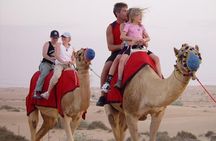 Private - Camel Ride Tour with Dune Bashing, BBQ Dinner and Belly Dance