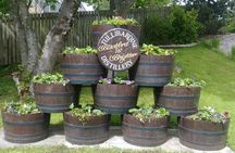 The Big Whisky Tasting Tour - Private Whisky Day Trip