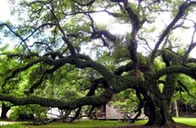 New Orleans Destrehan Plantation Experience