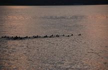 Midningtsun - Luxury Yacht Arctic Queen