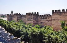 Excursion Taroudant & Palmeraie Tiout