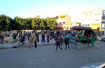 Excursion Taroudant & Palmeraie Tiout