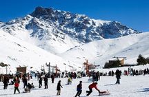 Middle Atlas Mountain FULL Day Trip From Fes - Private transportation