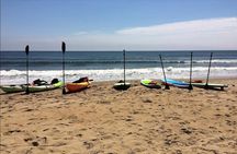 Small Group Dolphin Kayak Eco-Tour