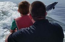Alabama Gulf Coast Dolphin Cruise