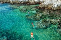 Premium Family Snorkeling Experience