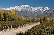 Mendoza: Aconcagua Adventure in the Andes Mountains