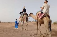 Private - Evening Desert Safari with Camel Ride, BBQ Dinner and Belly Dance