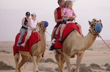 Private - Evening Desert Safari with Camel Ride, BBQ Dinner and Belly Dance