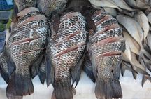 Bazurto Market – The Heartbeat of Cartagena’s Local Life