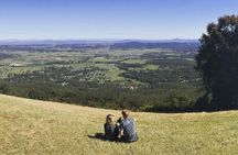 Barefoot Luxury Mount Tamborine Winery Tour from Gold Coast