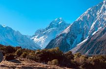 Mount Cook, Lake Tekapo and Tasman Glacier Tour from Christchurch