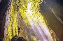 Ubud Swing, Rice Terrace and Waterfall Highlights Tour