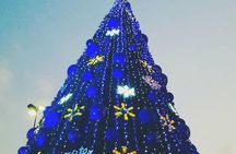 Magic Christmas Tour in Bernal