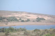 Small desert in 4x4